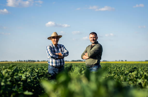 istock Two farmers in a field examining soy crop. 1440202196