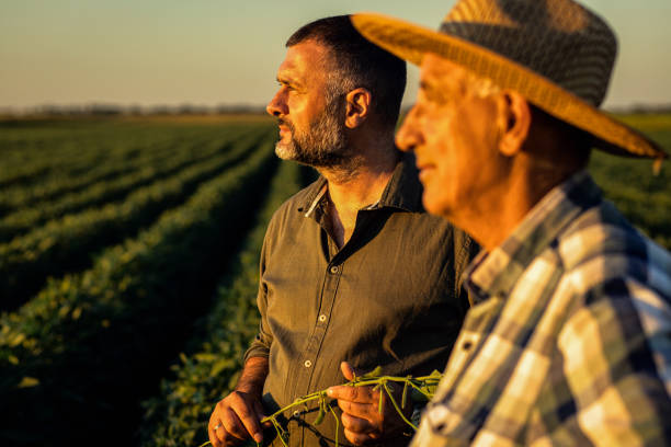 istock Two farmers in a field examining soy crop. 1440202329