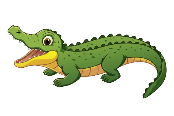 Vector illustration of Little Alligator Cartoon Animal Illustration