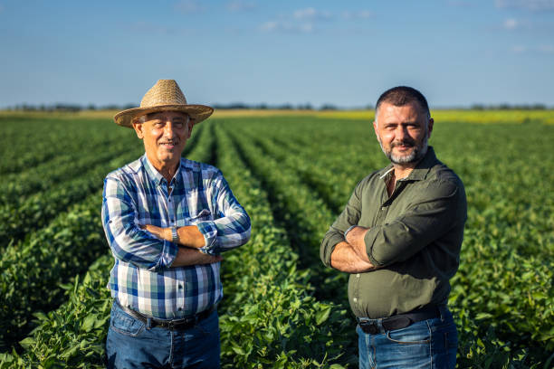 istock Two farmers in a field examining soy crop. 1440203629