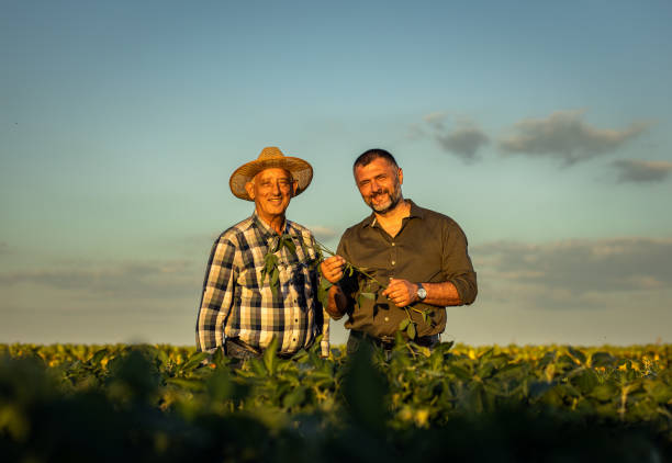 istock Two farmers in a field examining soy crop. 1440204093