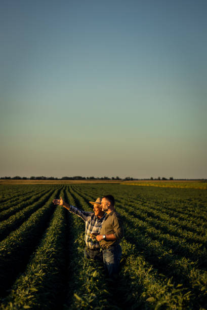 istock Two farmers in a field examining soy crop. 1440204358
