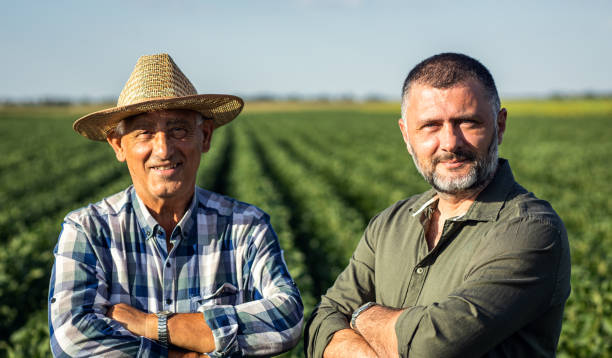 istock Two farmers in a field examining soy crop. 1440204684