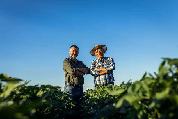 istock Two farmers in a field examining soy crop. 1440204931