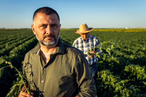 istock Two farmers in a field examining soy crop. 1440205562
