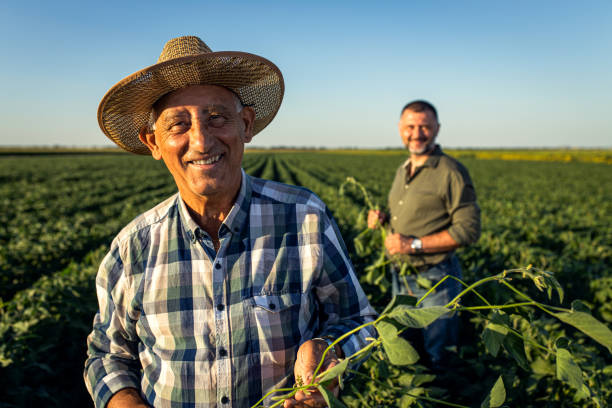 istock Two farmers in a field examining soy crop. 1440205565