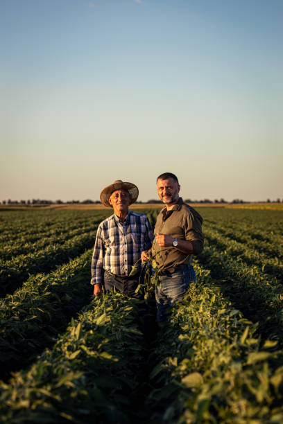 istock Two farmers in a field examining soy crop. 1440206193