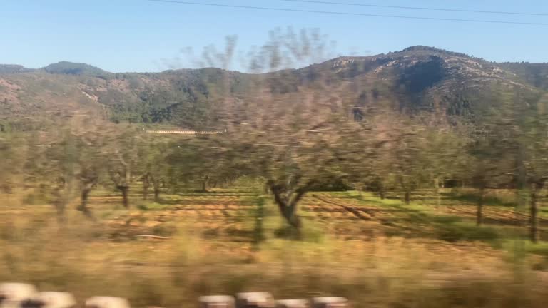 Landscape seen from train in motion