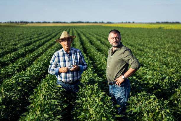 istock Two farmers in a field examining soy crop. 1440206377
