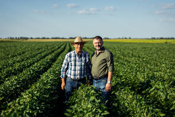 istock Two farmers in a field examining soy crop. 1440206455