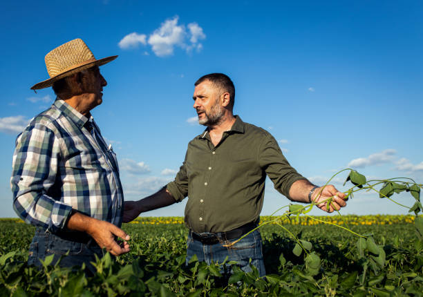 istock Two farmers in a field examining soy crop. 1440206510