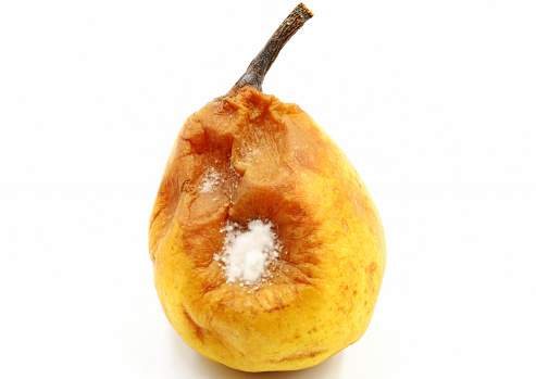 A ripe pear spoiled by a fungus