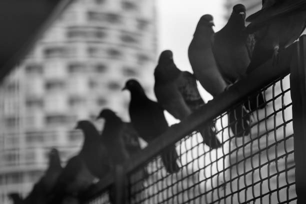 istock In the city. 1440211357
