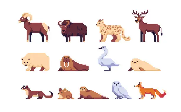 Vector illustration of Tundra Animals pixel art set. Arctic and Antarctic wildlife collection. Polar species.