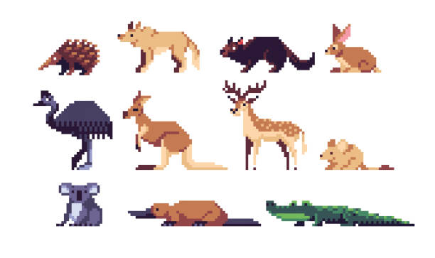 Australian Animals pixel art set. Exotic wildlife collection. 8 bit sprite. Game development, mobile app.  Isolated vector illustration. tasmanian animals stock illustrations