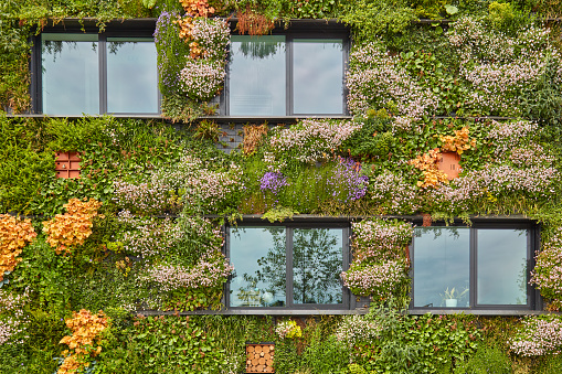 Exterior of a green sustainable building covered with blooming vertical hanging plants