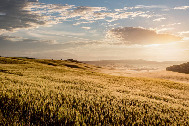sunny landscape from val d'orcia, tuscany, italy - val dorcia photos et images de collection