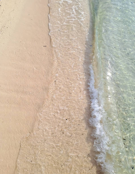 istock Soft wave of blue ocean on sandy beach. Background. Wave and Sand beach background 1440214895
