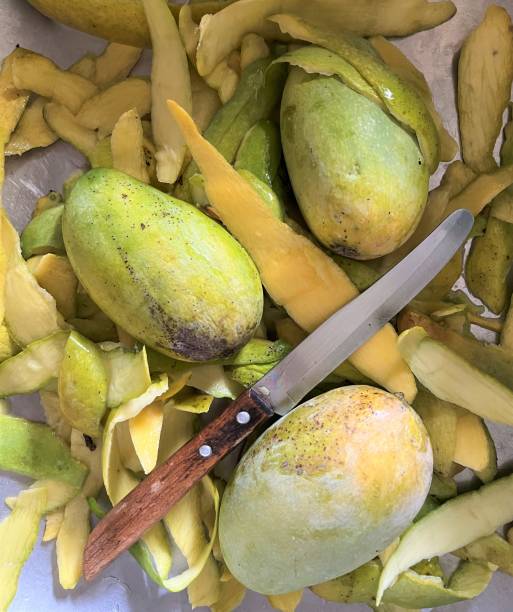 istock Knife and peeling mango fruit in the sink 1440214996
