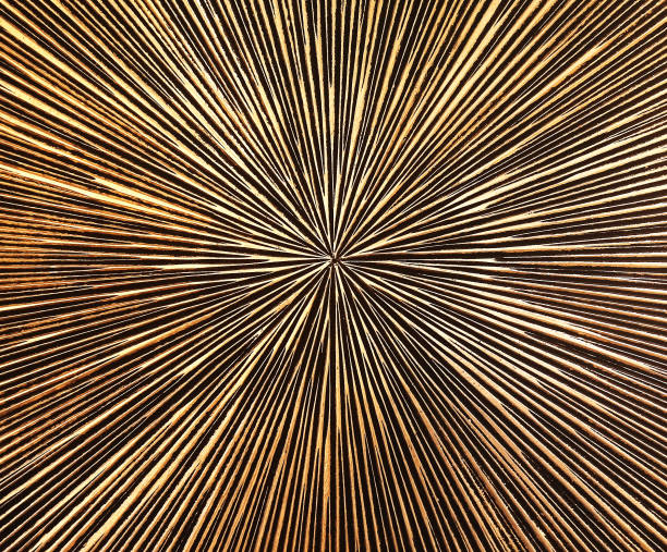 abstraction background, rays emanating from the center of the image, background