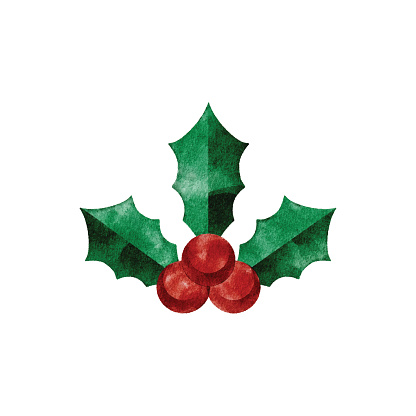 Watercolor hollyberry logo. Vector tracing.