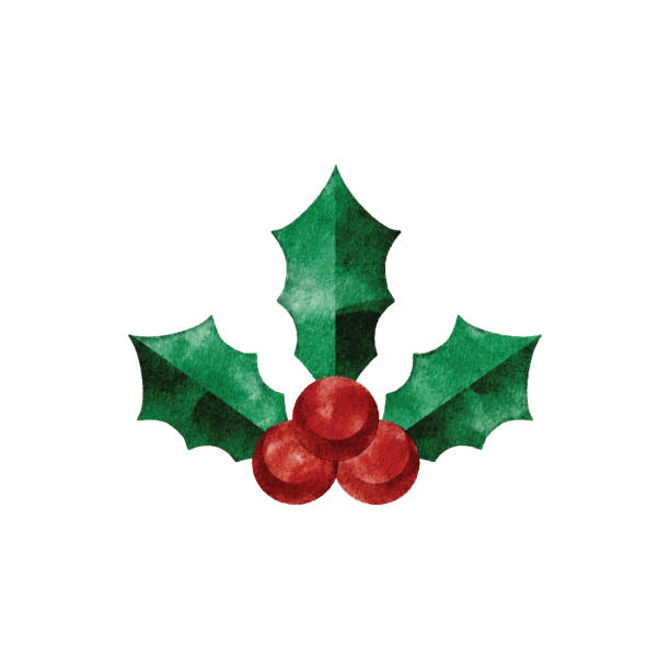 Watercolor Christmas Holly Logo Watercolor hollyberry logo. Vector tracing. december clipart pictures stock illustrations