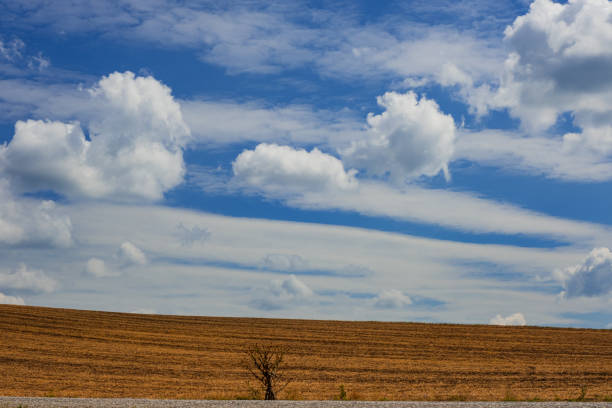 Ukrainian autumn landscape. Dramatic sky and orange field