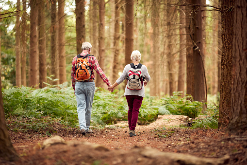 Rear View Of Loving Retired Senior Couple Holding Hands Hiking In Woodland Countryside Together