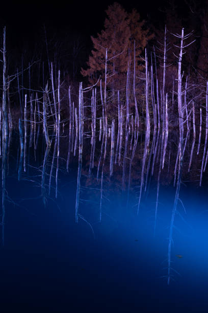 istock Illuminated blue pond in early winter 1440226237