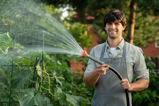 Gardening in the backyard - portrait of a gardener using a water hose and watering his garden.