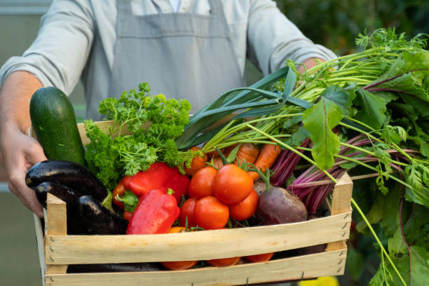 las manos de un joven agricultor sostienen una caja de verduras orgánicas de pie en el jardín - greenhouse pepper vegetable garden agriculture fotografías e imágenes de stock