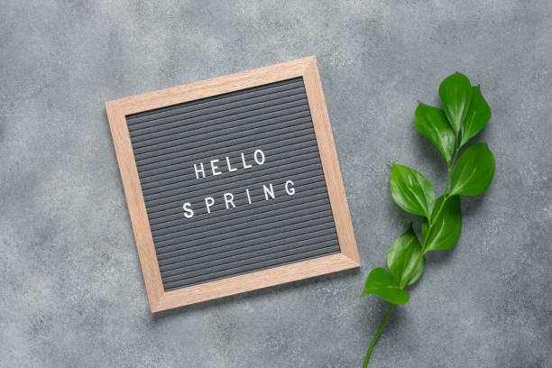 istock Hello spring inscription on letter board decorated with green ruscus leaves. Gray background. Top view, flat lay. 1440227381