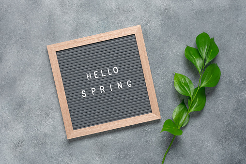 Hello spring inscription on letter board decorated with green ruscus leaves. Gray background. Top view, flat lay.