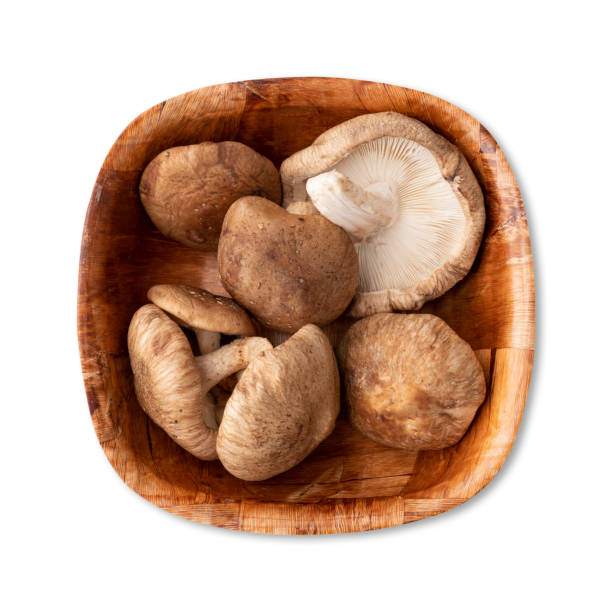istock Shitake mushrooms in a bowl isolated over white background 1440227565