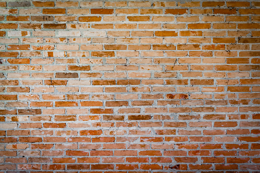 Rustic brick wall with terracotta bricks and cement grout.