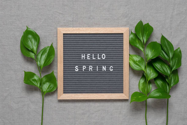 istock Hello spring text on letter board decorated with green ruscus leaves. Top view, flat lay. 1440228739