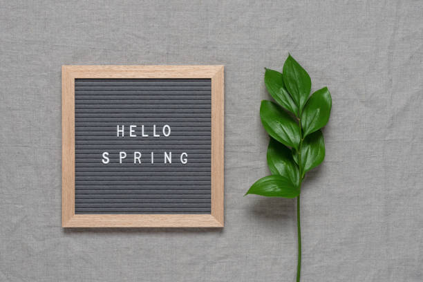 istock Hello spring inscription on letter board decorated with green ruscus leaves. Top view, flat lay. 1440229214