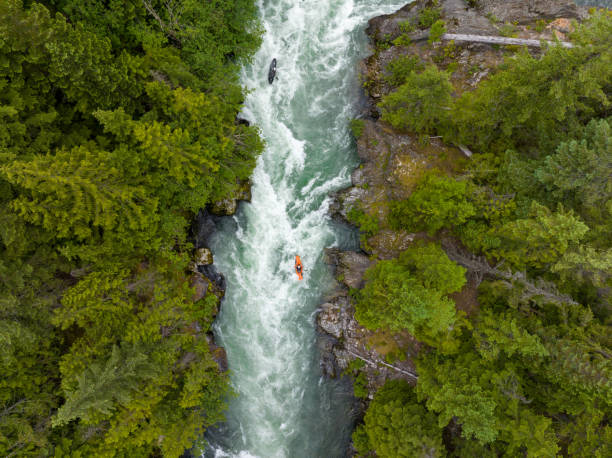 istock Paddlers making their way down the rough river 1440230466