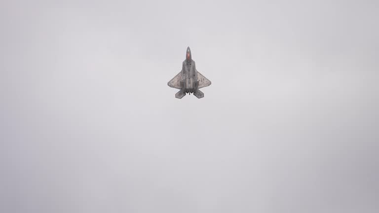 USAF F-22 Raptor