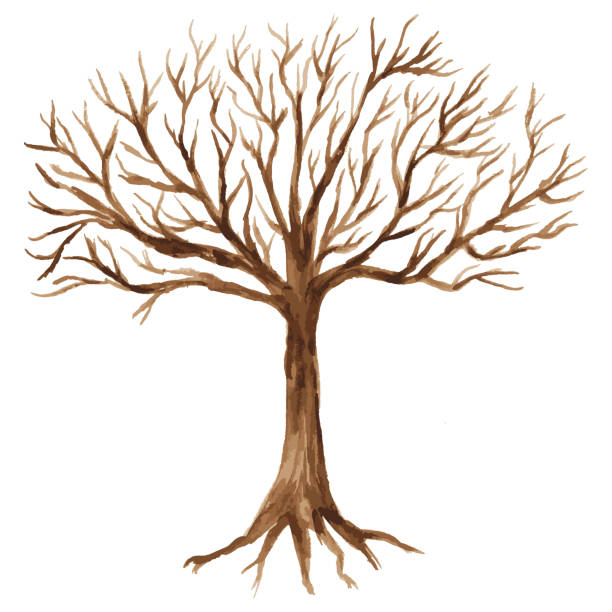 根を持つシルエット抽象的な落葉性裸の木の水彩ベクター画像描画 - 葉のない木点のイラスト素材／クリップアート素材／マンガ素材／アイコン素材