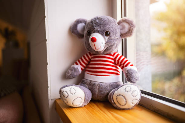 Donation Box Full of Toys and Stuffed Animals