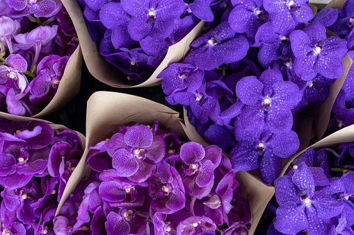 Top view of purple vanda orchid flower in the bouquet ready for sale at the floral shop for florist and flower arranging usage