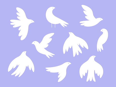 Isolated white birds silhouettes. Flying bird, dove or seagull. Peace symbols design. Racy vector wild abstract flock, trendy graphic for cutting. Illustration of silhouette wings flock pigeon