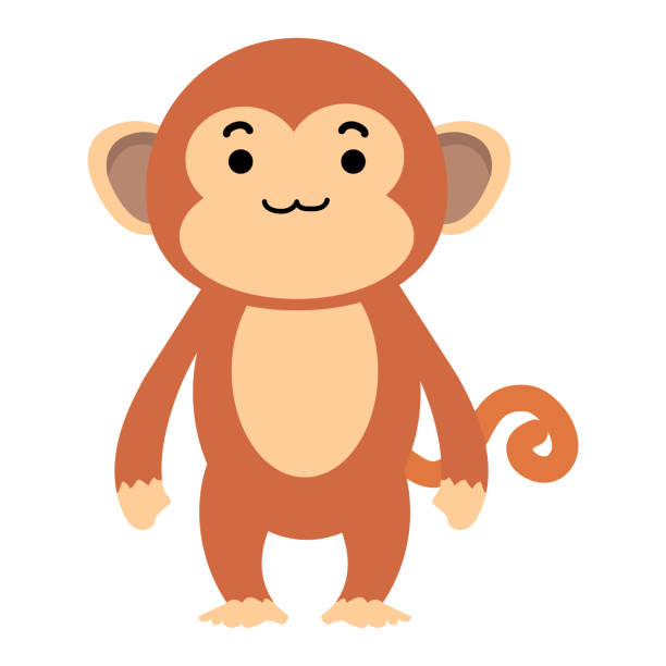 ilustraciones, imágenes clip art, dibujos animados e iconos de stock de lindo mono icono vectorial de dibujos animados - monkey sketch drawing showing