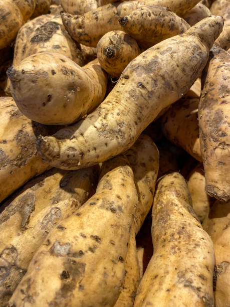 istock Full frame sweet potatoes at retail market. 1440249774