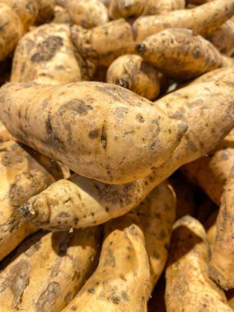 istock Full frame sweet potatoes at retail market. 1440249892