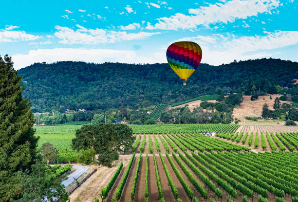 przygoda z balonem na ogrzane powietrze - hot air balloon california napa napa valley zdjęcia i obrazy z banku zdjęć