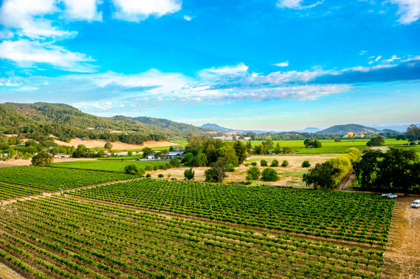 przygoda z balonem na ogrzane powietrze - hot air balloon california napa napa valley zdjęcia i obrazy z banku zdjęć