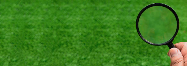 istock Magnifier in hand, panoramic mock-up image over a green grass background. 1440253199