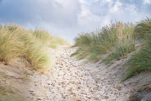Beach crossing in Denmark by the sea. Dunes, sand water and clouds on the coast. Trip to the Baltic Sea. Vacation on the beach. Scandinavia landscape photo
